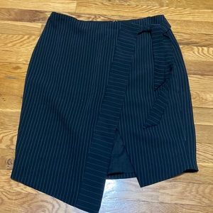 Express Pencil Skirt